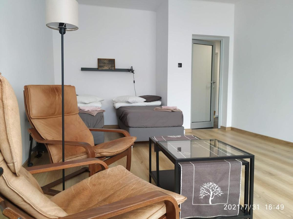 Apartament Przy Parku Srodmiescie Gdańsk Eksteriør billede